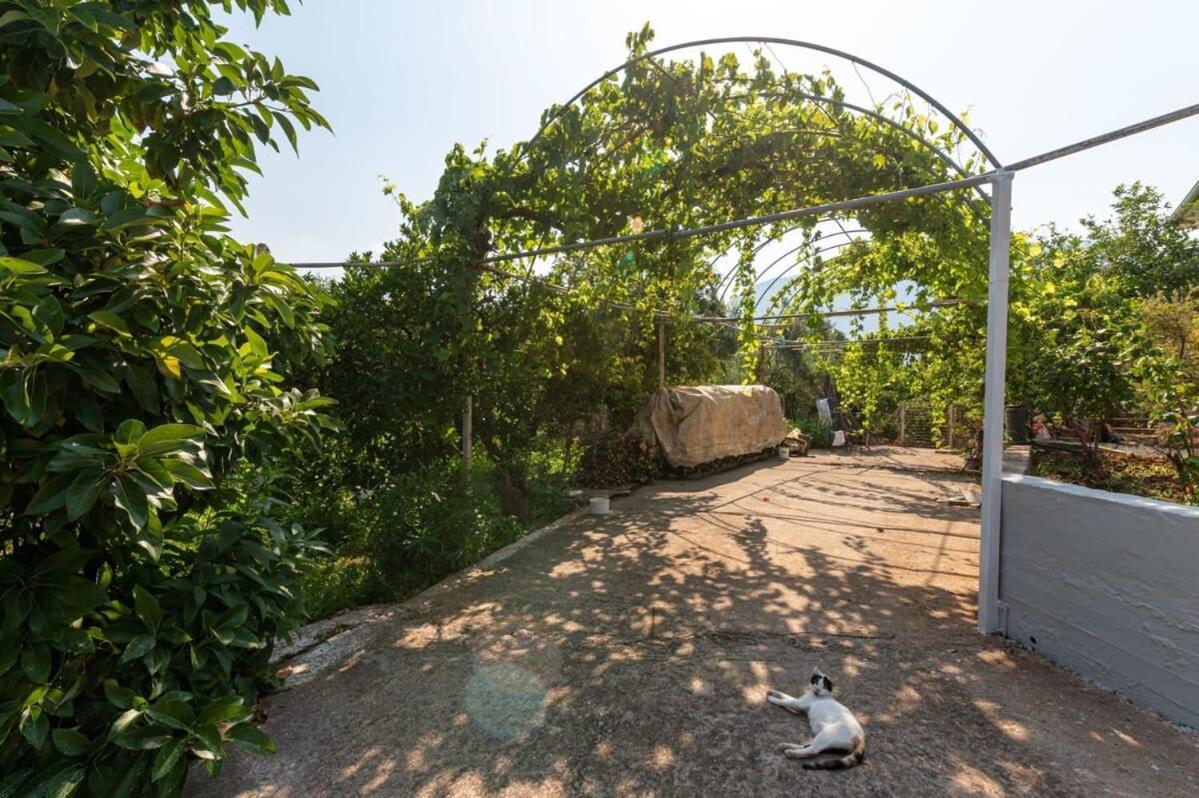 Serene Seaside Bliss - Lush & Secluded Garden Oasis Καλαμάτα Εξωτερικό φωτογραφία